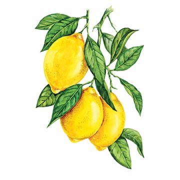 Сироп "Лимон", 1л.