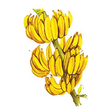 Топпинг "Банан", 1л.