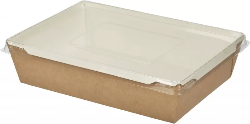 Контейнер с прозрачной крышкой 500мл (аналог Opsalad) 100шт/упак/3