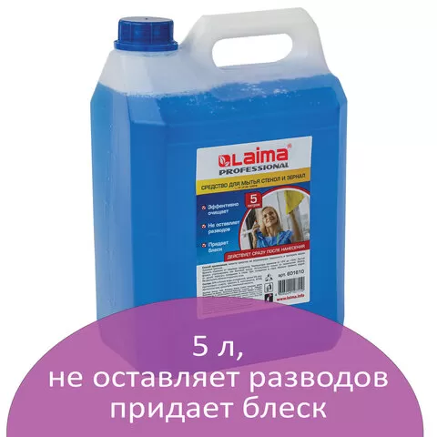 Стеклоочиститель ЛАЙМА PROFESSIONAL 5 л/4