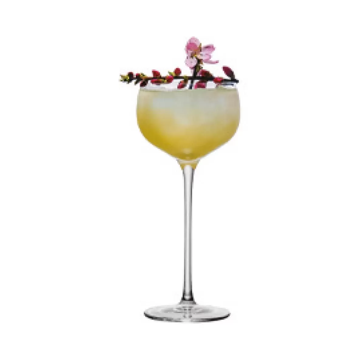 Бокал для коктейля "Aster" Cocktail Week 160мл, P.L-Barware